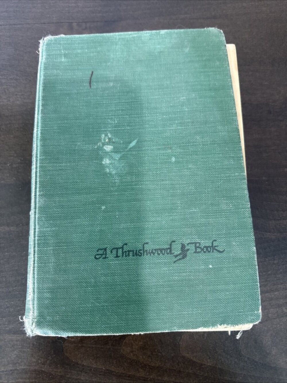 RARE Peter Pan & Wendy First Edition 1911 JM Barrie Published Charles Schribner